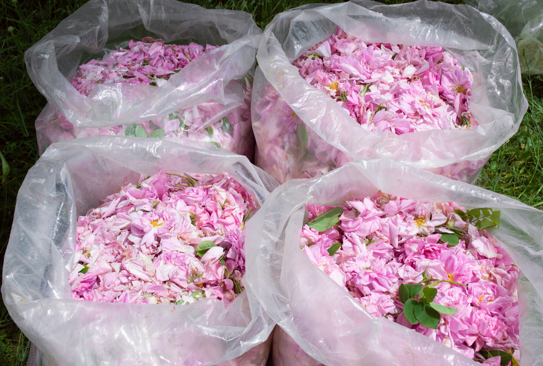 Rose Water for Different Skin Types: Which One is Right for You?